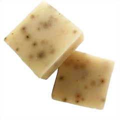 Eucalyptus Aloe Soap